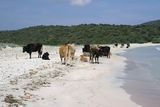 Plage du Lodu - © Kalysteo.com