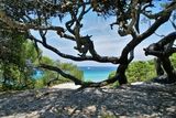 Arrivée à la plage de la Saleccia - © Kalysteo.com