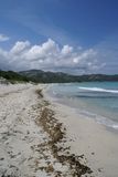 Plage de la Saleccia - © Kalysteo.com