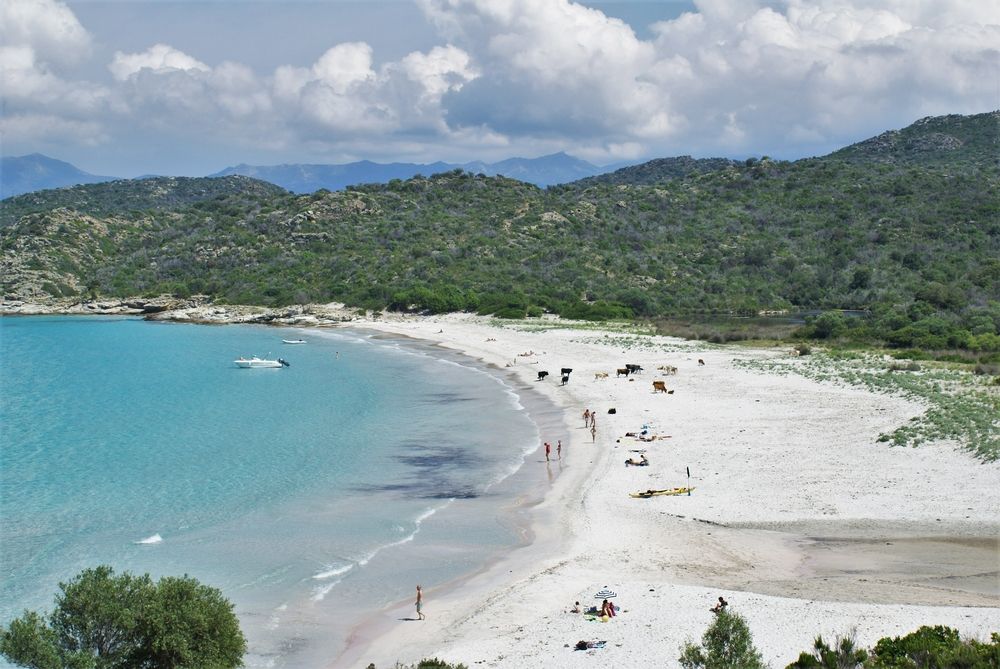 Plage du Lodu