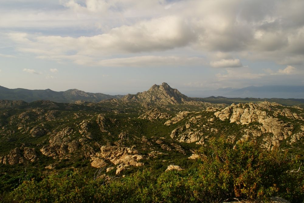 Le désert des Agriates, vu de la D81