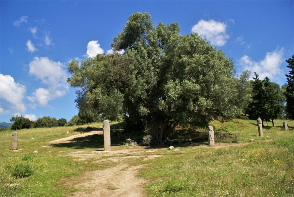 Alignement des cinq statues-menhirs