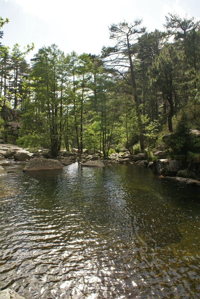 Grande piscine naturelle