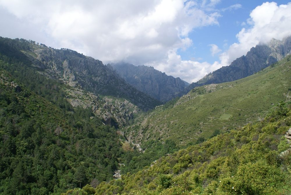 Les gorges du Tavignano