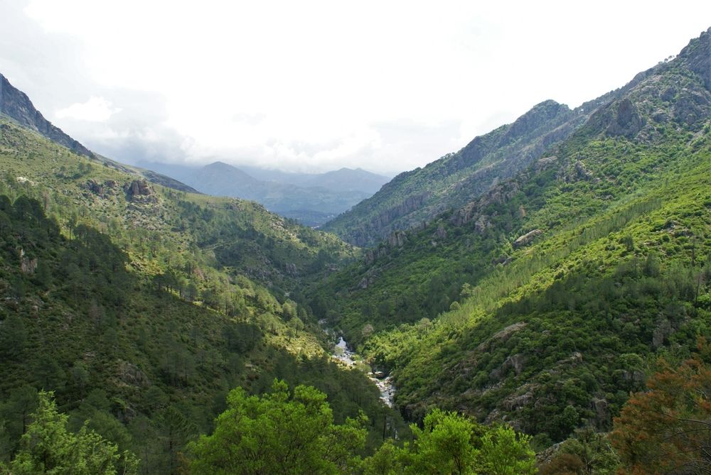 Les gorges du Tavignano