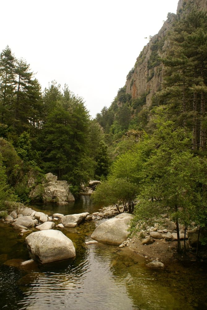 Les gorges du Tavignano