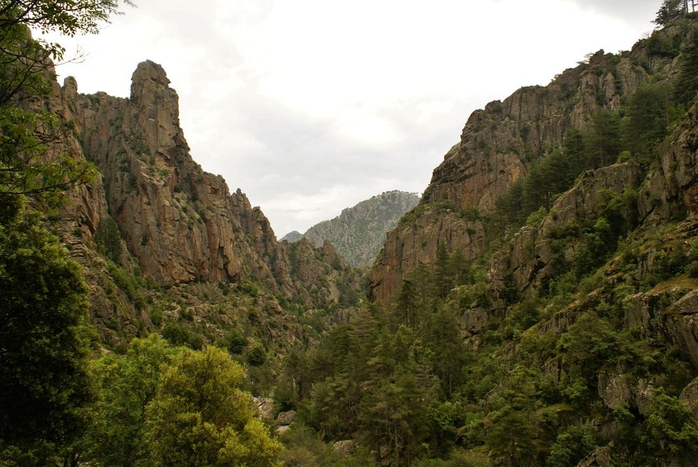 Gorges du Tavignano