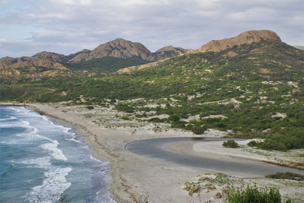 Plage de l'Ostriconi