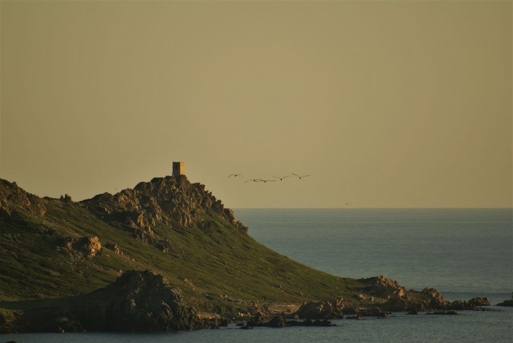 Tour de Castellucio, sur l'île principale