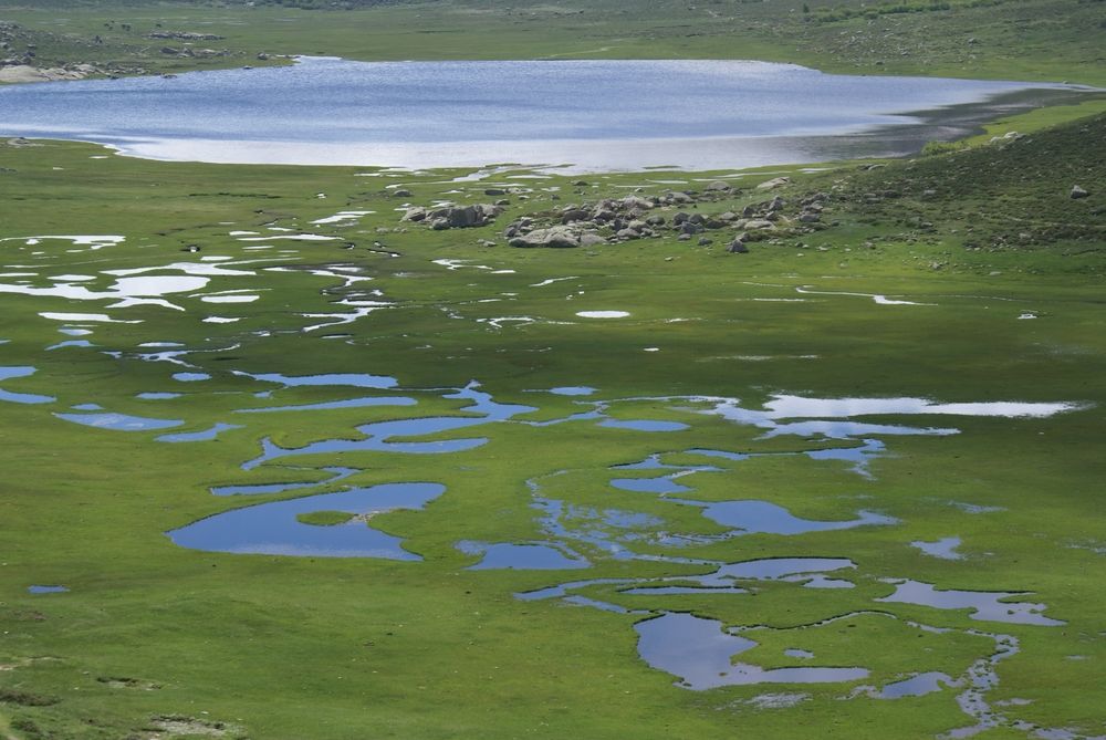 Le lac de Nino et les pozzines