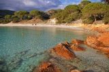 Images/Photos Plage de Palombaggia