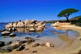 Images/Photos Plage de Palombaggia