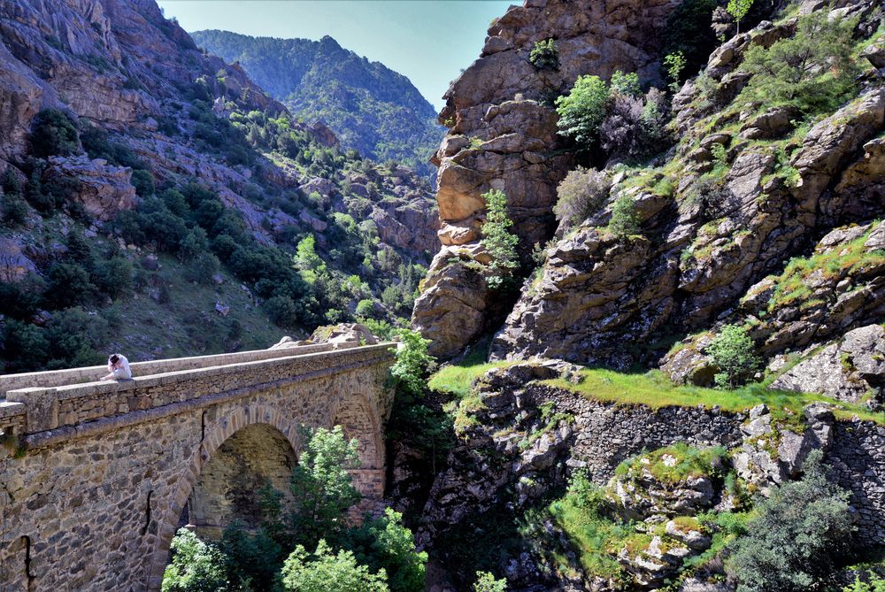 Pont d'Accia