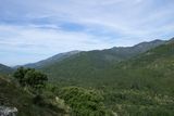 Images/Photos Statue-menhir de Tavera