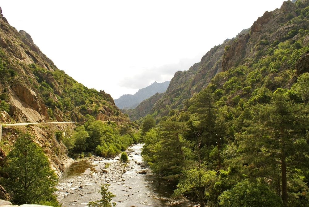 Vallée de l'Asco