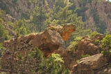 Le rocher de la Tortue Le rocher de la Tortue