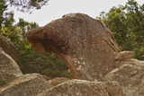 Le rocher de la Tête de Chien Le rocher de la Tête de Chien