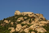 Lion de Roccapina Lion de Roccapina