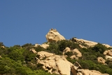 Lion de Roccapina Lion de Roccapina