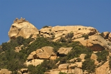 Lion de Roccapina Lion de Roccapina