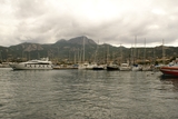 Port de Calvi Port de Calvi
